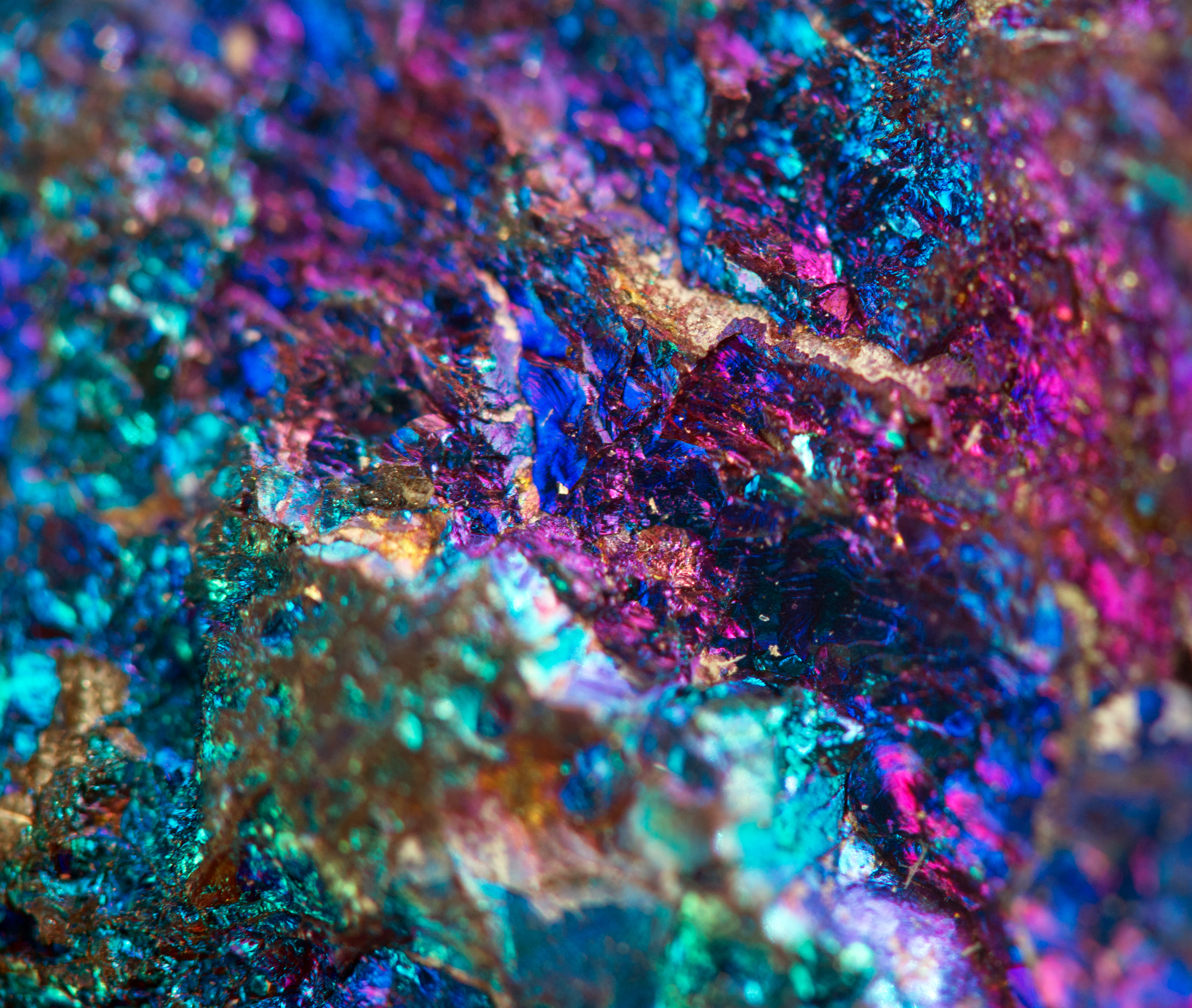 copper picture (1) copper picture (1)