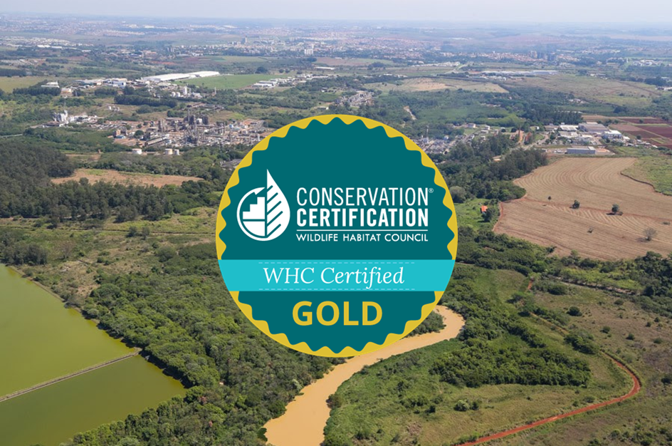 CDP confirms Solvay with A climate rating Solvay