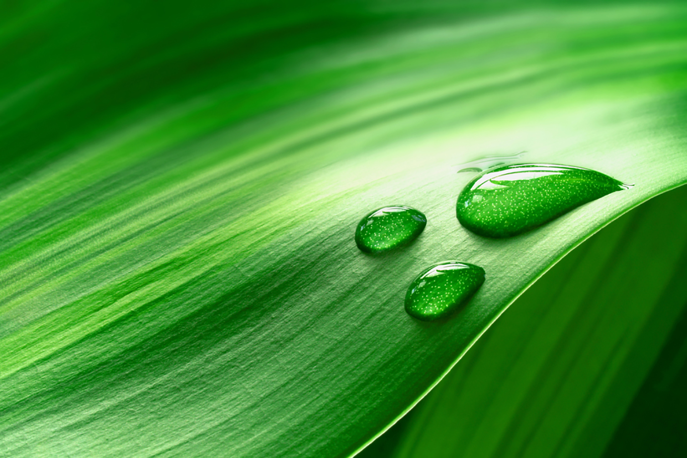 Folha Agro Folha Agro