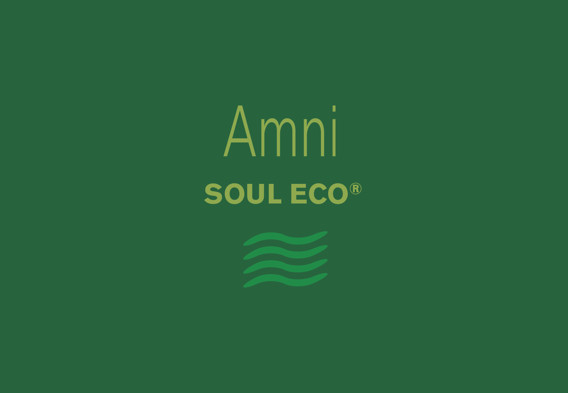 Logo-Amni®-Soul-Eco-card Logo-Amni®-Soul-Eco-card