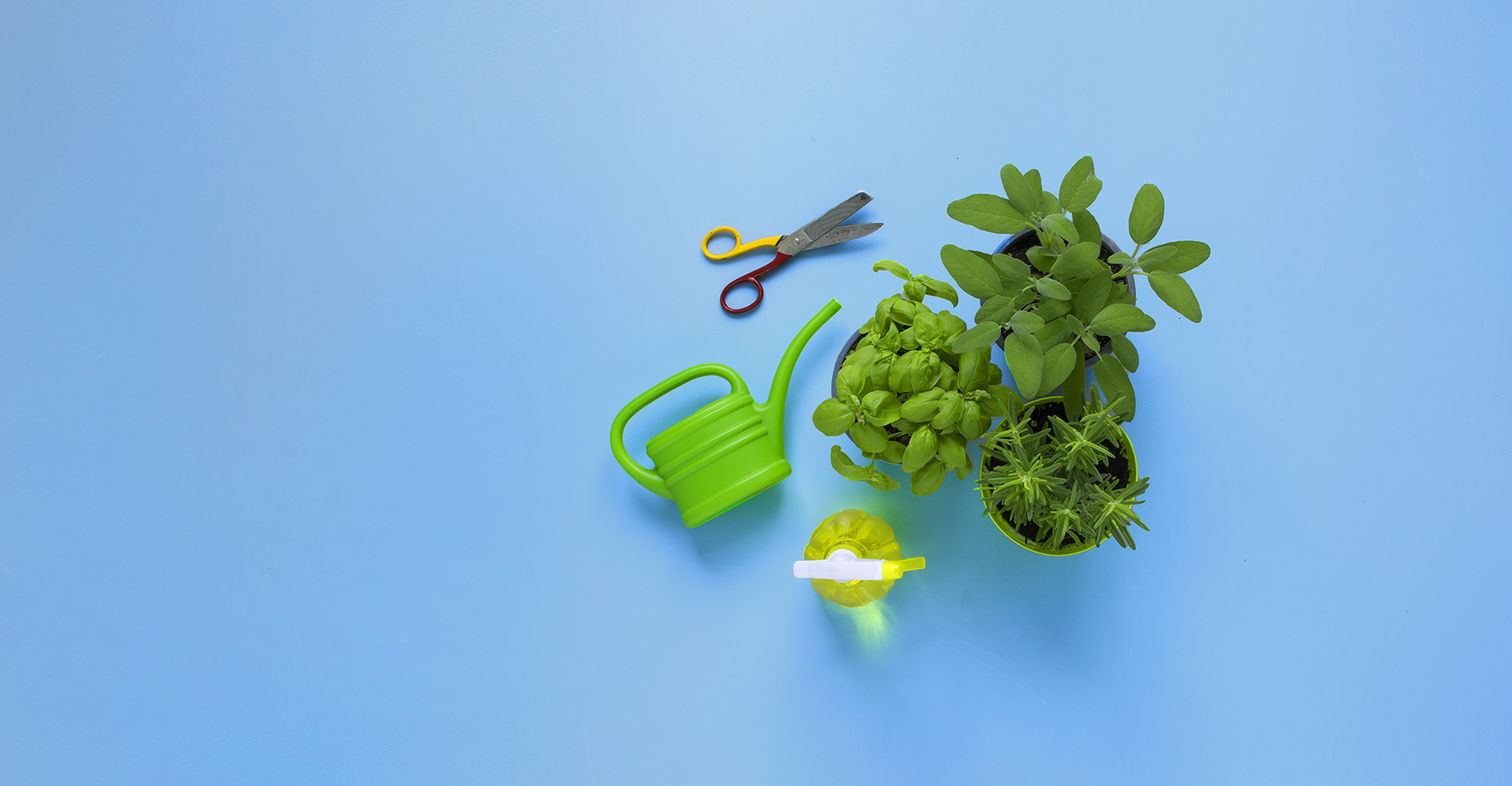 Orto in terrazza_HEADER_GEO_2 Orto in terrazza_HEADER_GEO_2