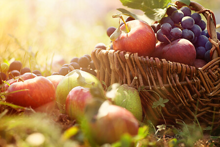 fruit into a basket