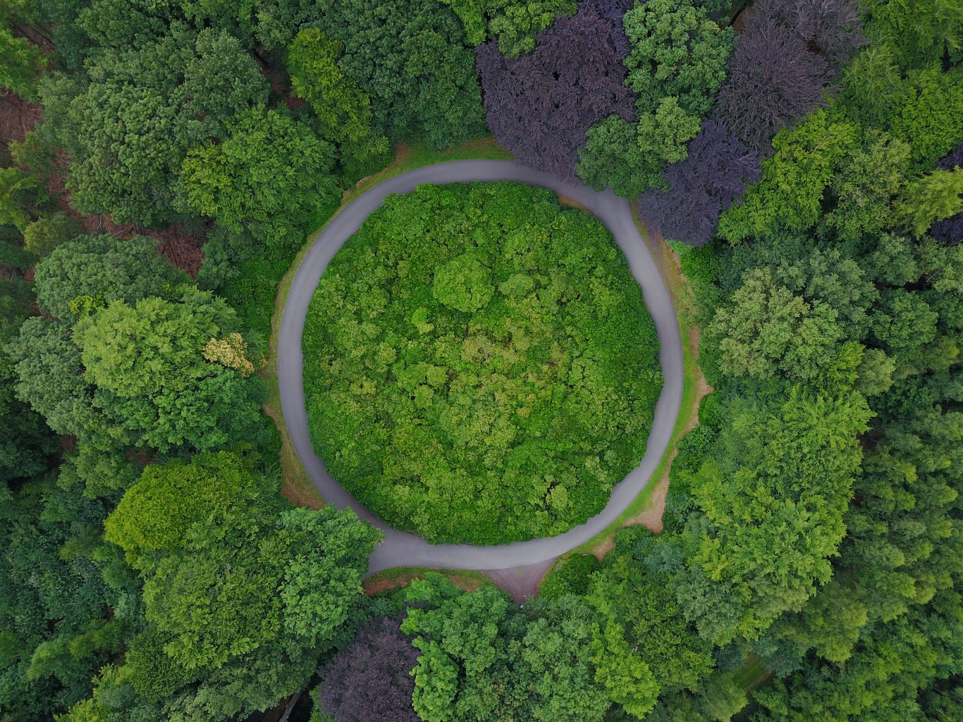 Roundabout in the middle of a forest in Belgium Roundabout in the middle of a forest in Belgium