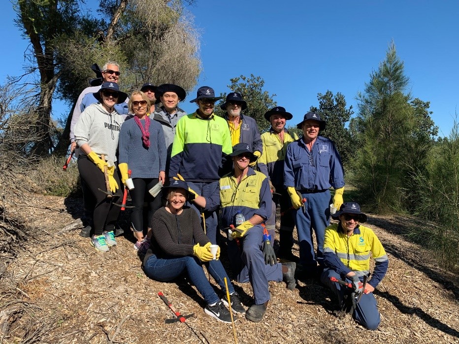 banksmeadow tree planting 1 banksmeadow tree planting 1
