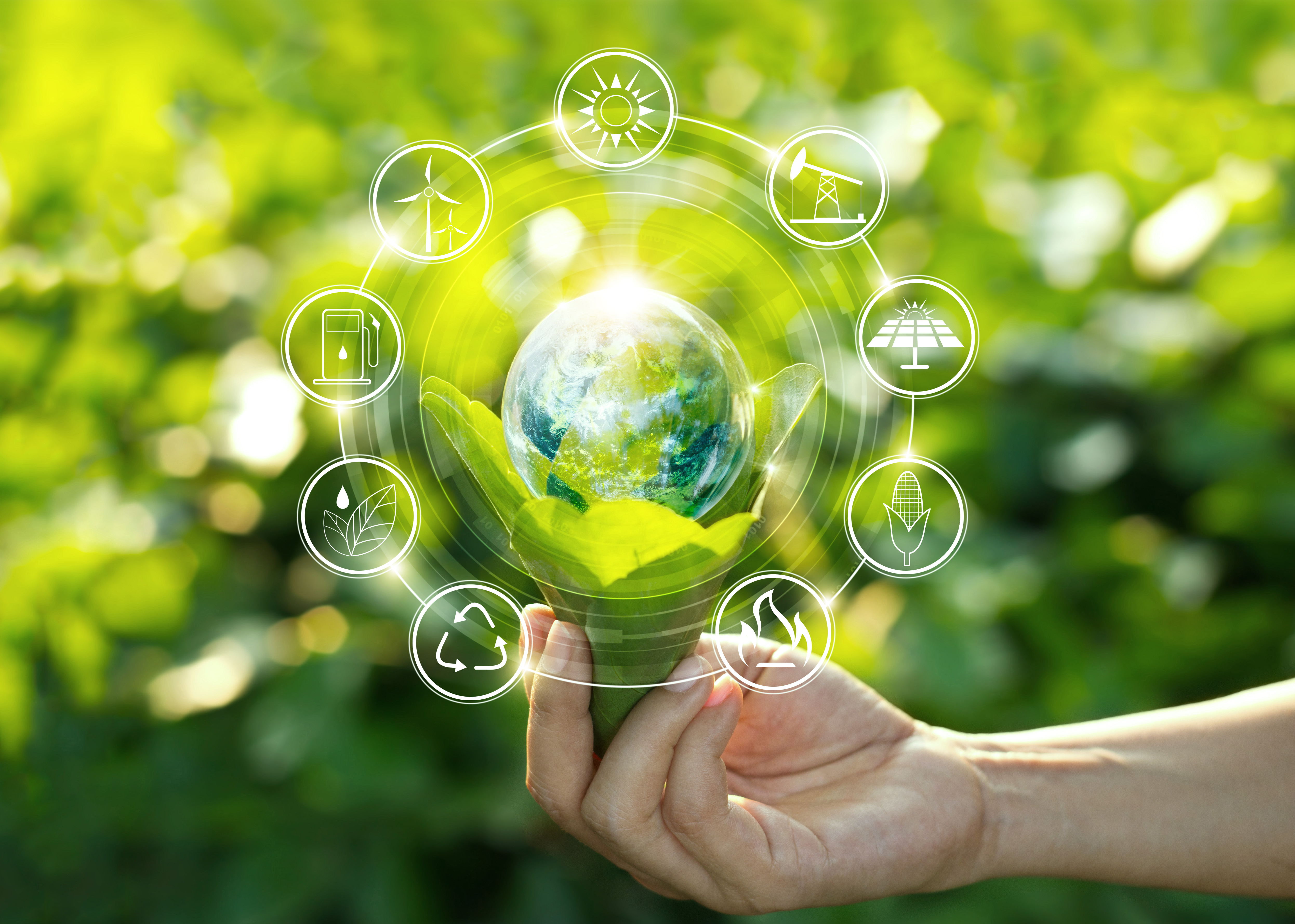 Sustainability in a hand Sustainability in a hand