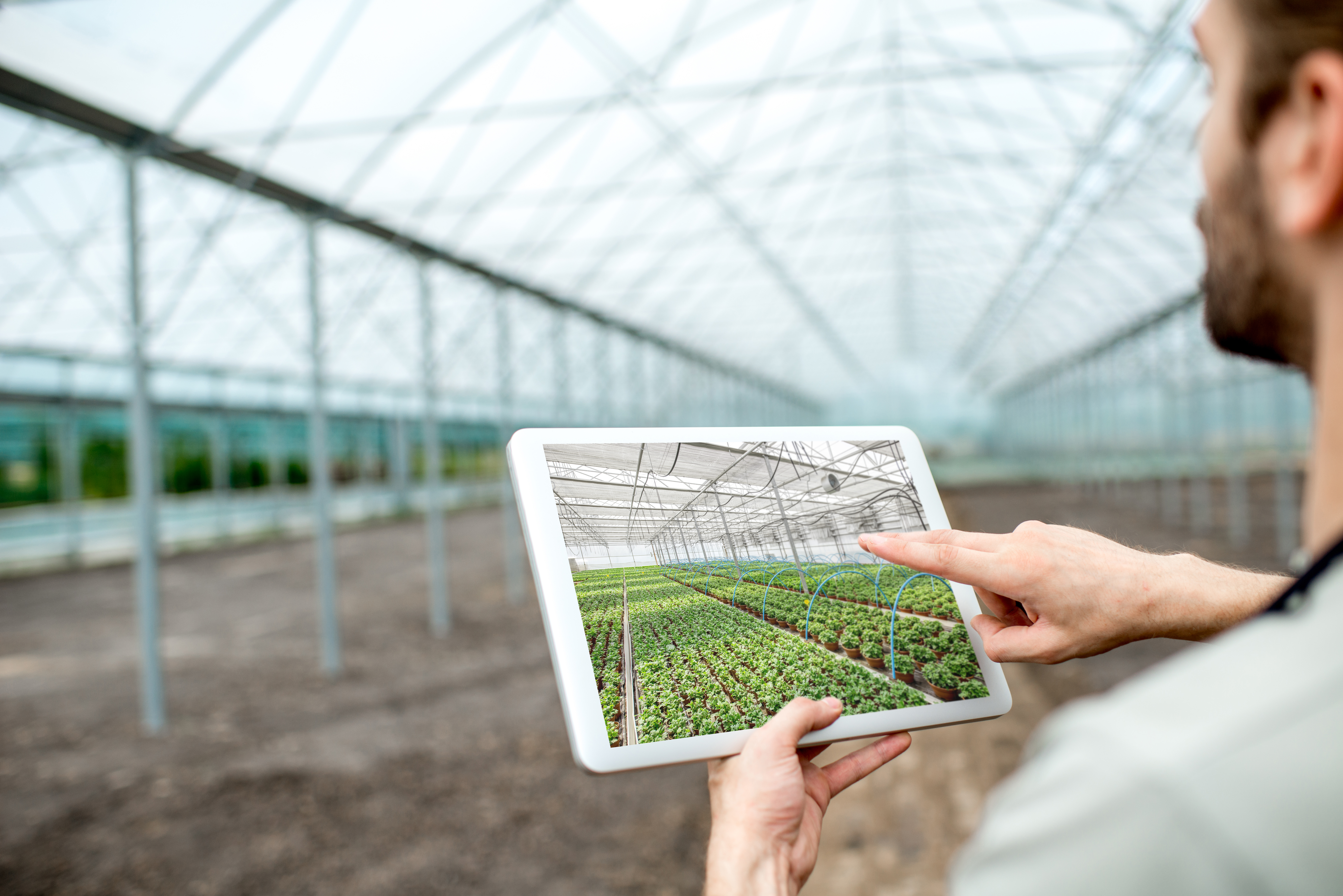 Farmer holding digital tablet with project of the future plantation in the glasshouse Farmer holding digital tablet with project of the future plantation in the glasshouse