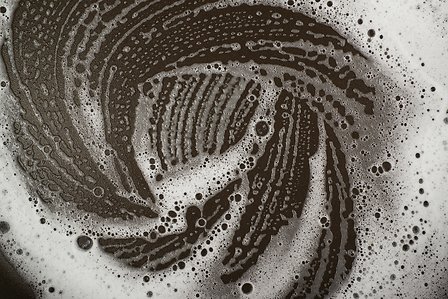 shutterstock_450261448
