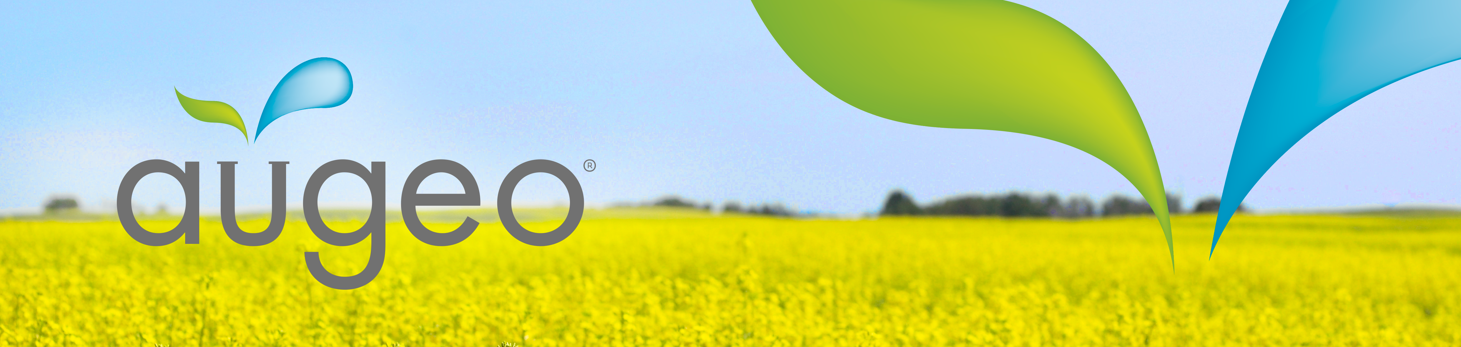 banner-com-marca-registrada