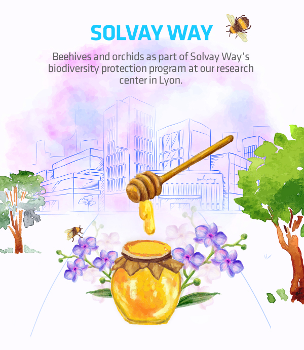 beehives-and-orchids-protection-program