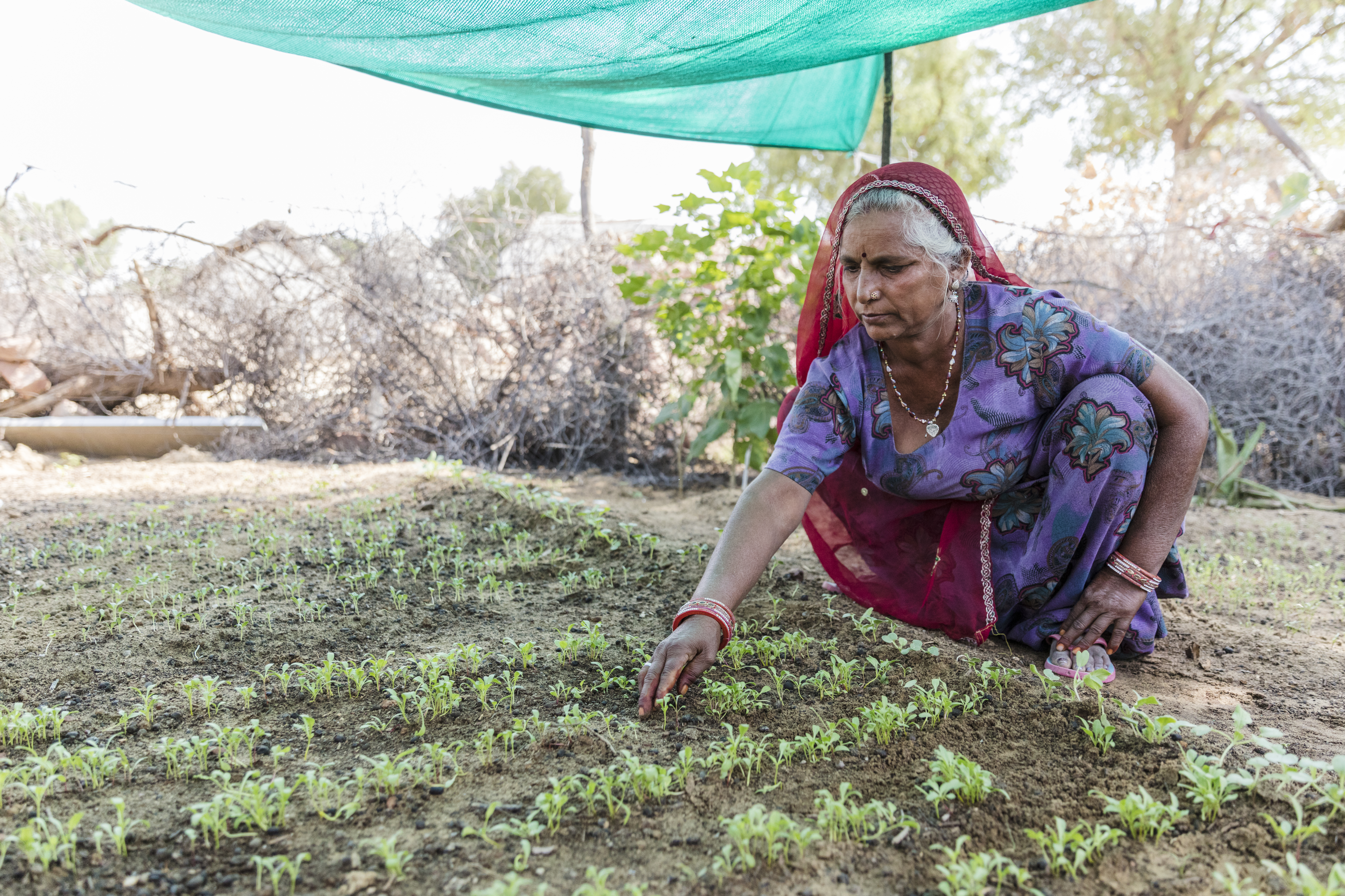 Sustainable Guar - social action