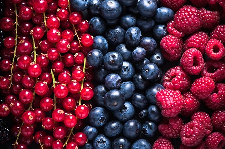 Berry Fruits