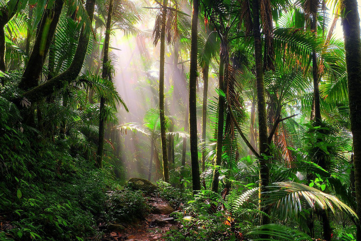 Augeo-Clean-Multi-HEADER-1920x12802