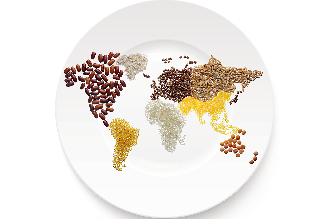sustainable-food-in-a-plate-in-a-world-map-shape sustainable-food-in-a-plate-in-a-world-map-shape