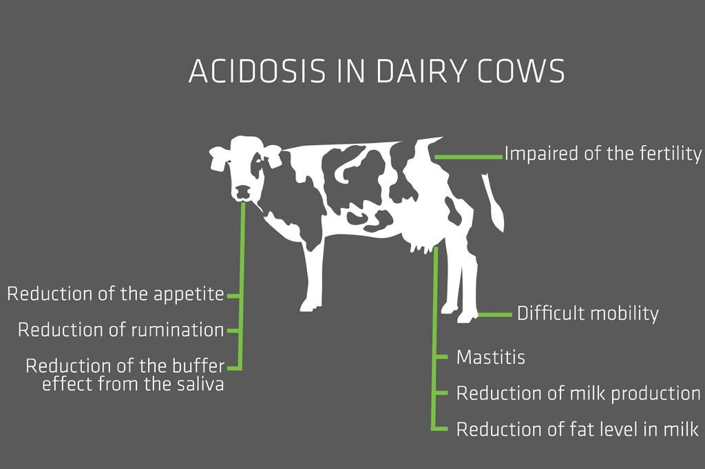 acidosis-ENG-178754