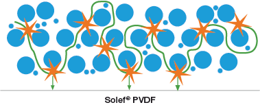 Solef-PVDF-reinforced-intermolecular-interactions