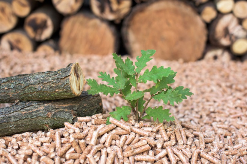 Biomass - logs and sprig