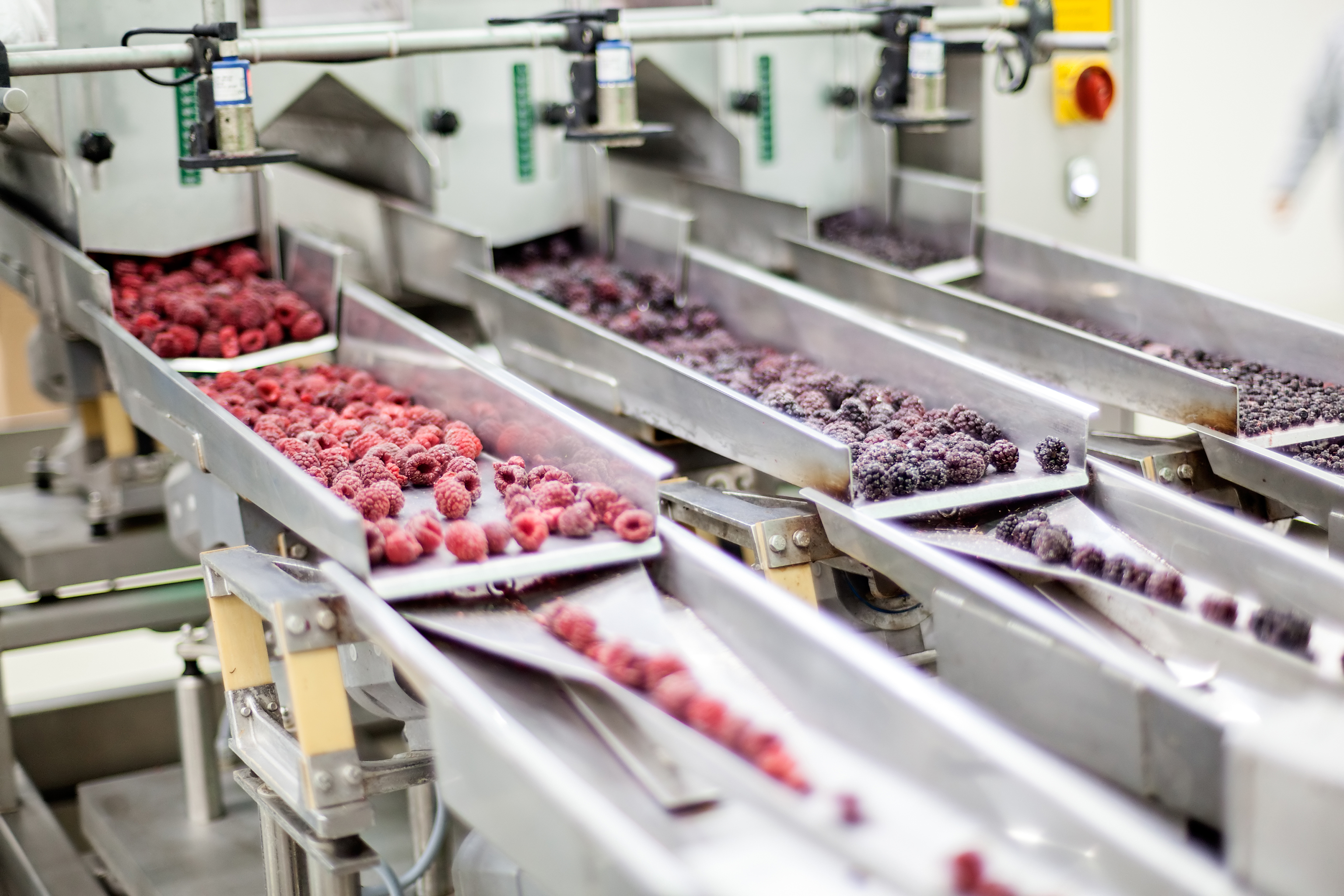 Заморозка процесса. Оборудование для производства замороженных ягод. Пищевая и перерабатывающая промышленность. Цех по переработке овощей. Цех по переработке ягод.