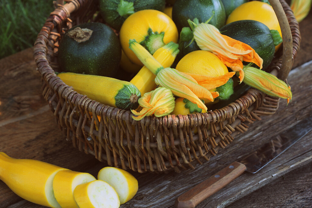 Zucchini