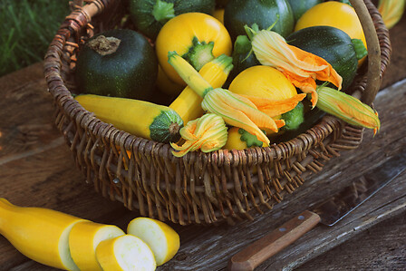 Zucchini